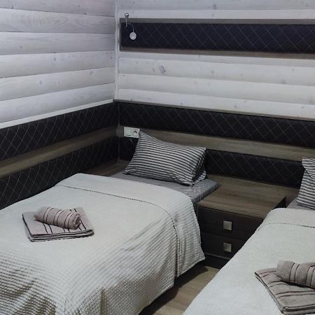 Diamond De Luxe Apartman Kolomija Kültér fotó